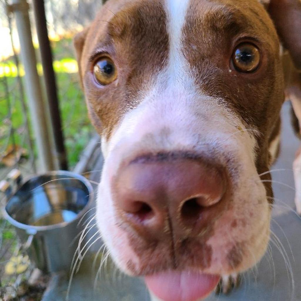 Dejay miles — thumbnail 2