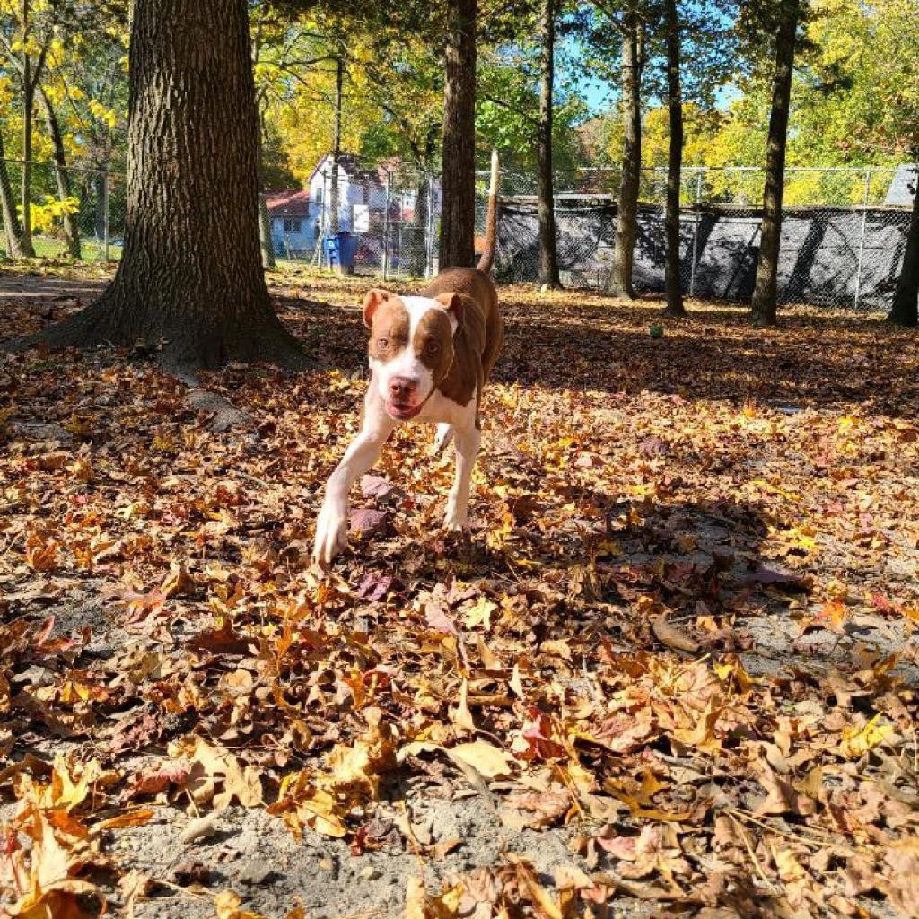 Dejay miles — thumbnail 3