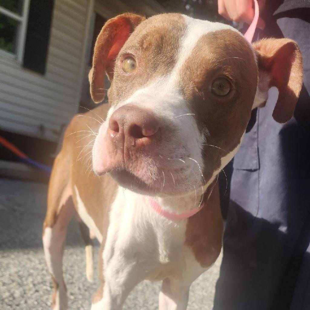 Dejay miles — thumbnail 4