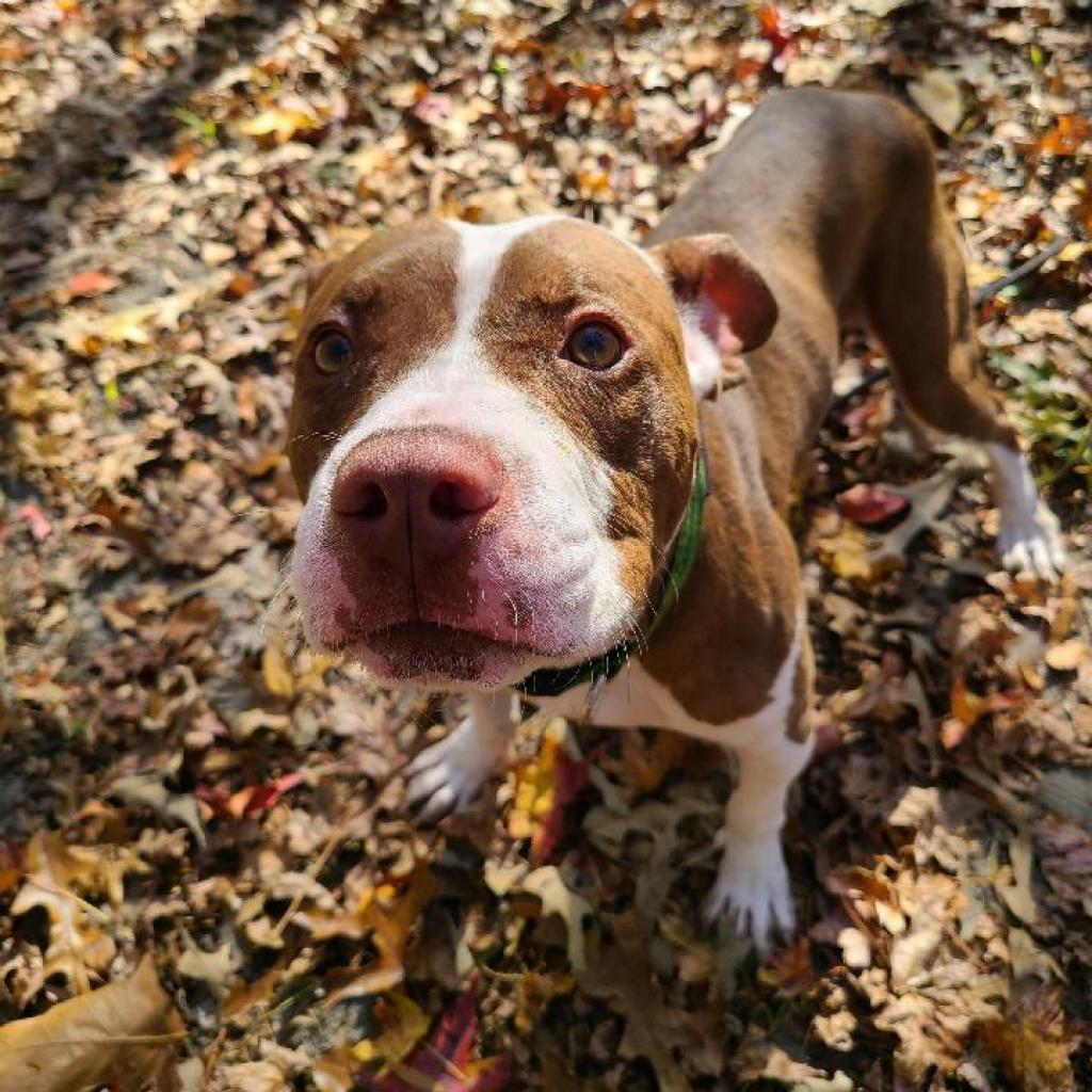 Dejay miles — thumbnail 5