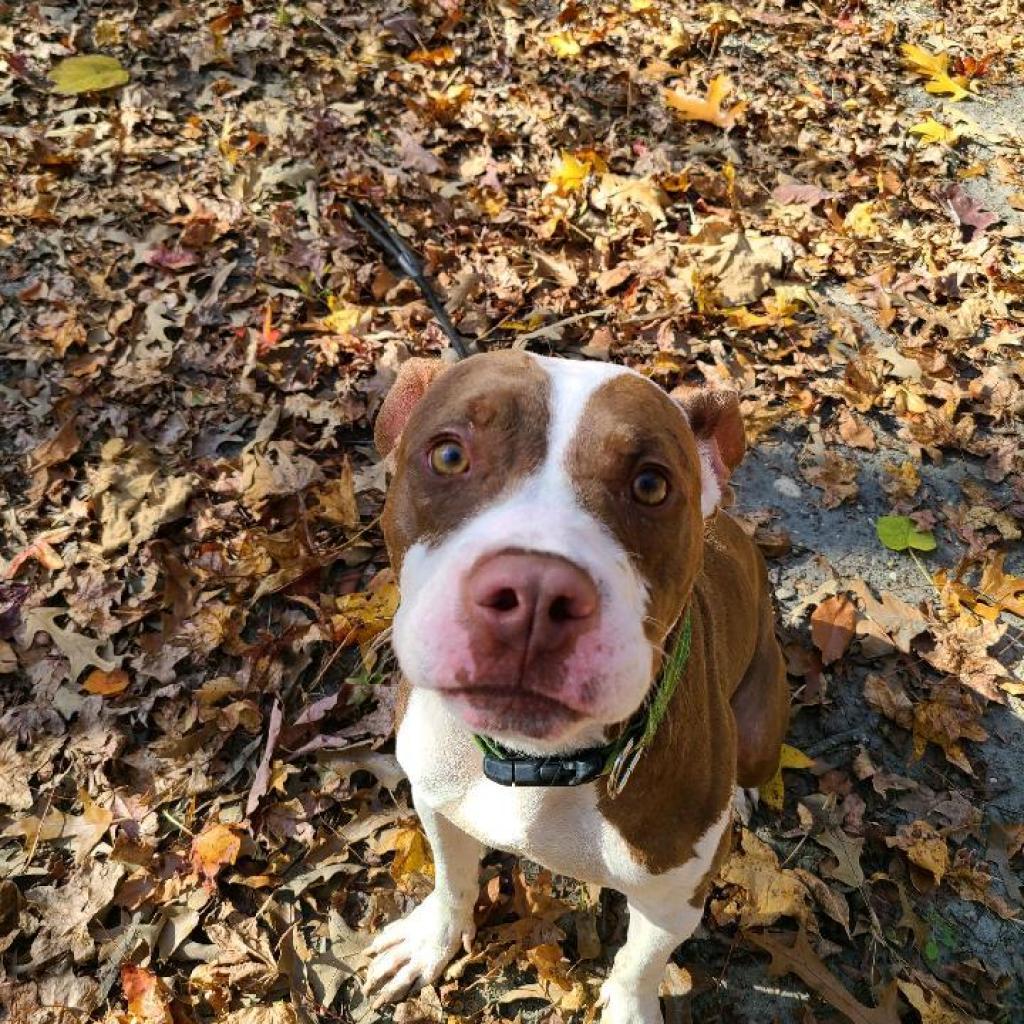 Dejay miles — thumbnail 6