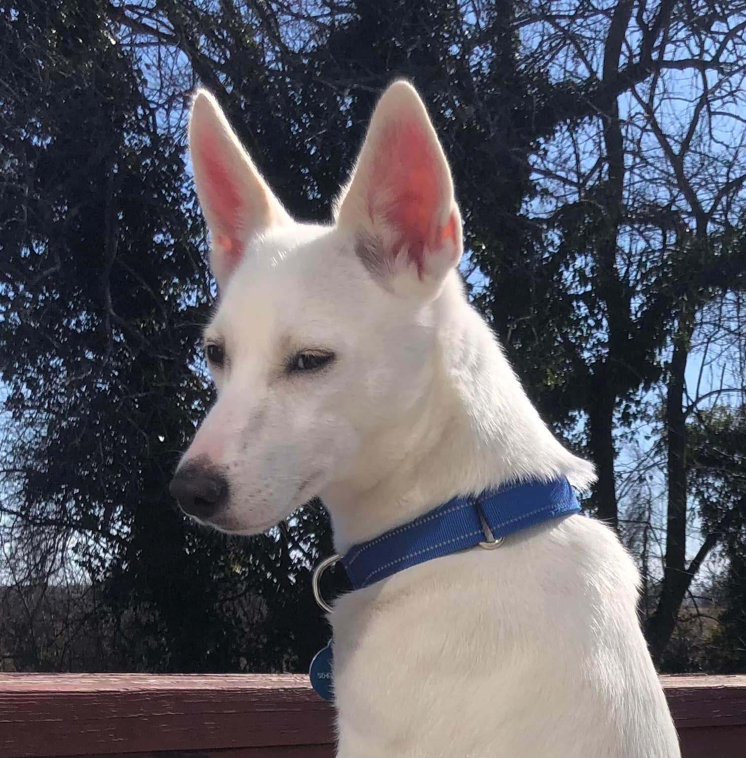 Harlow photo 2