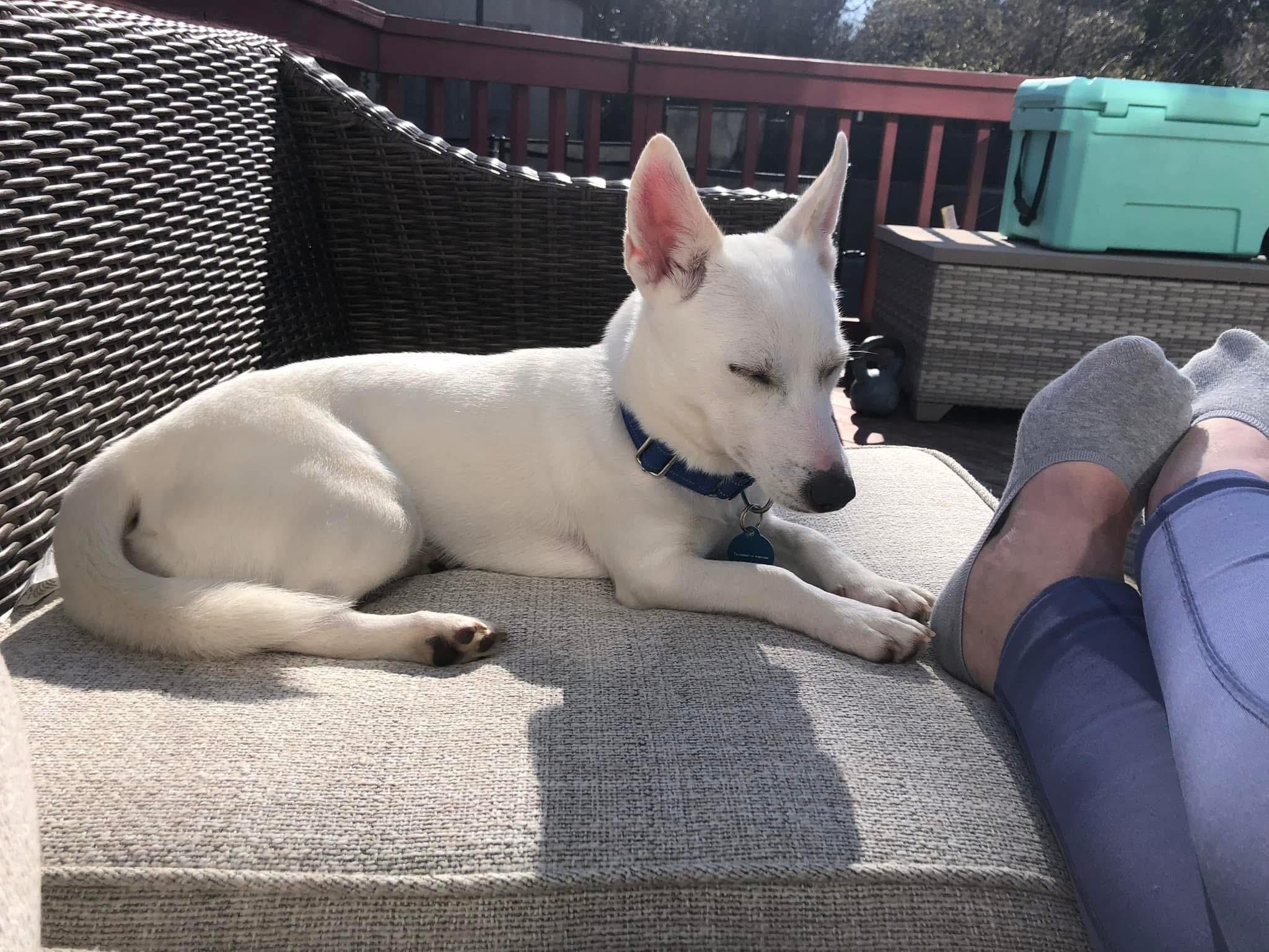 Harlow