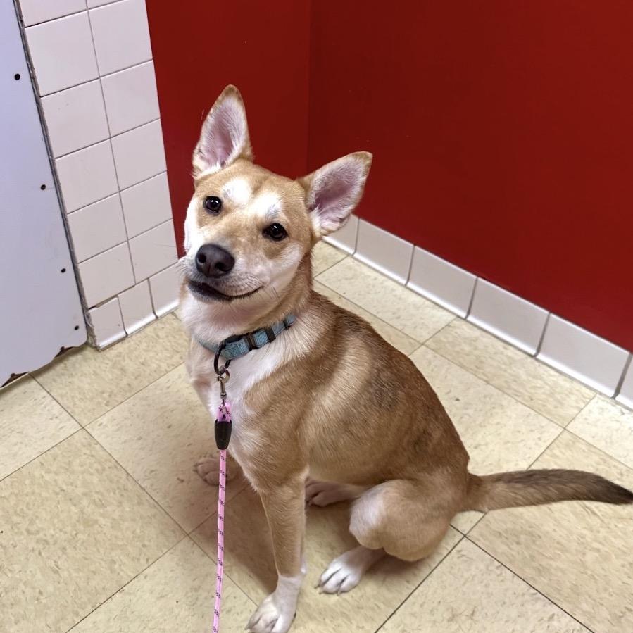 Phoeberoo K thumbnail 2