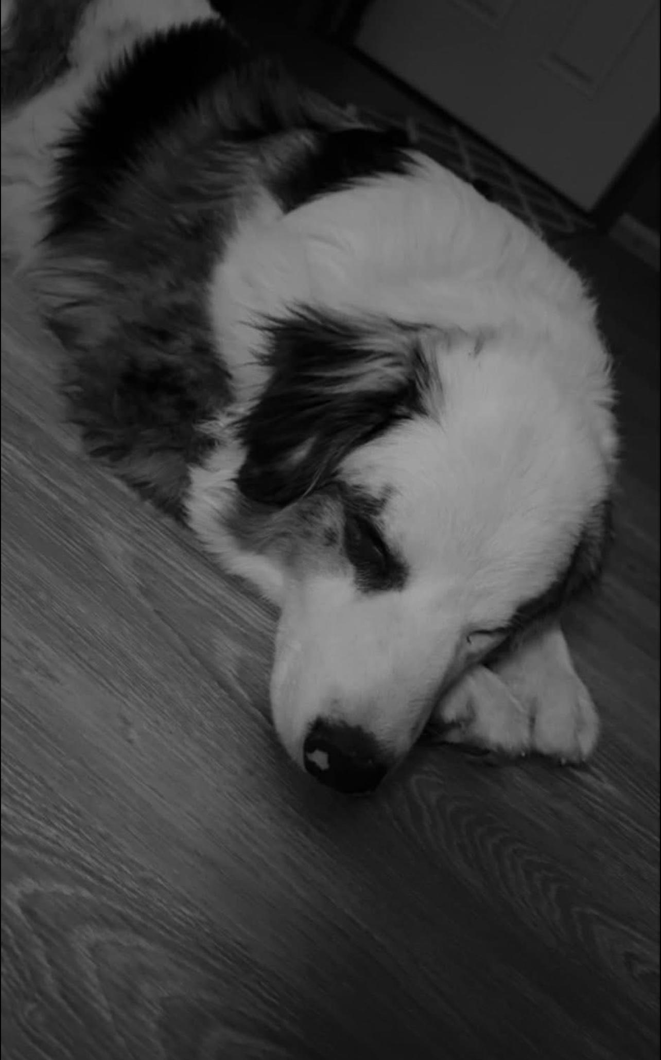 Blu photo 3
