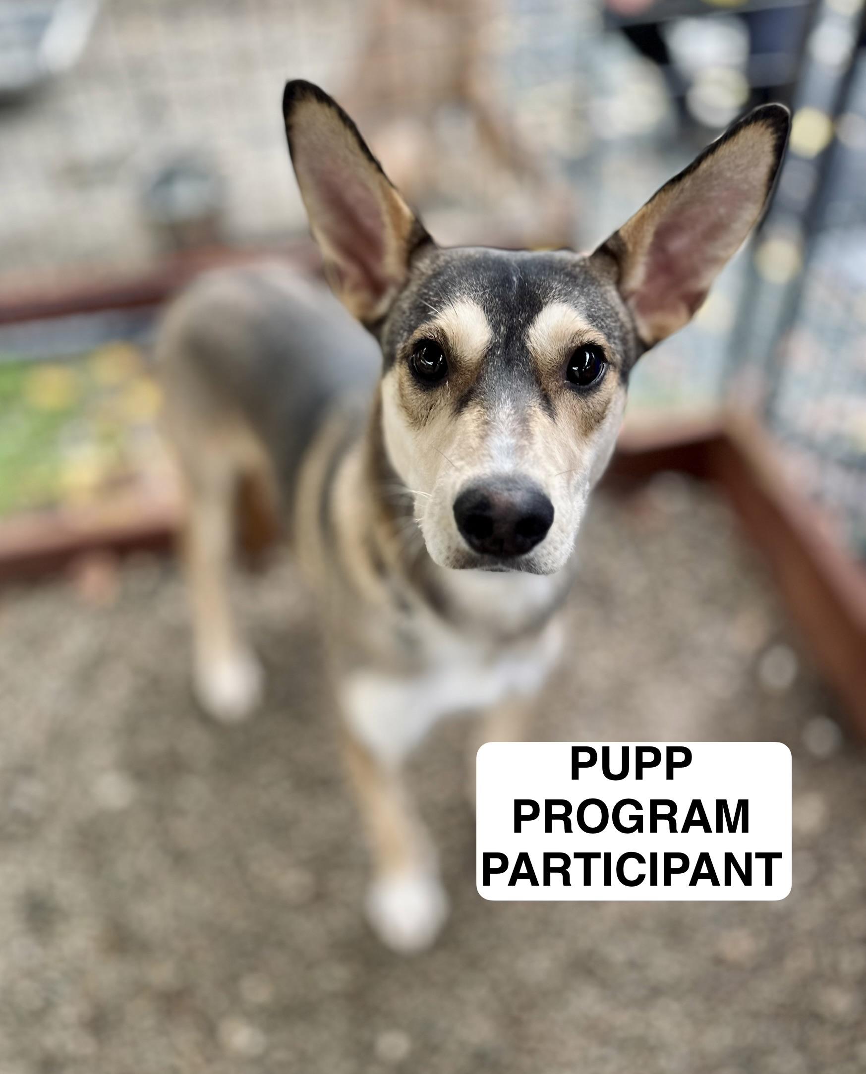 Legolas 0125 — thumbnail 5