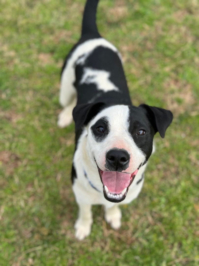 Memphis Urgent thumbnail 2