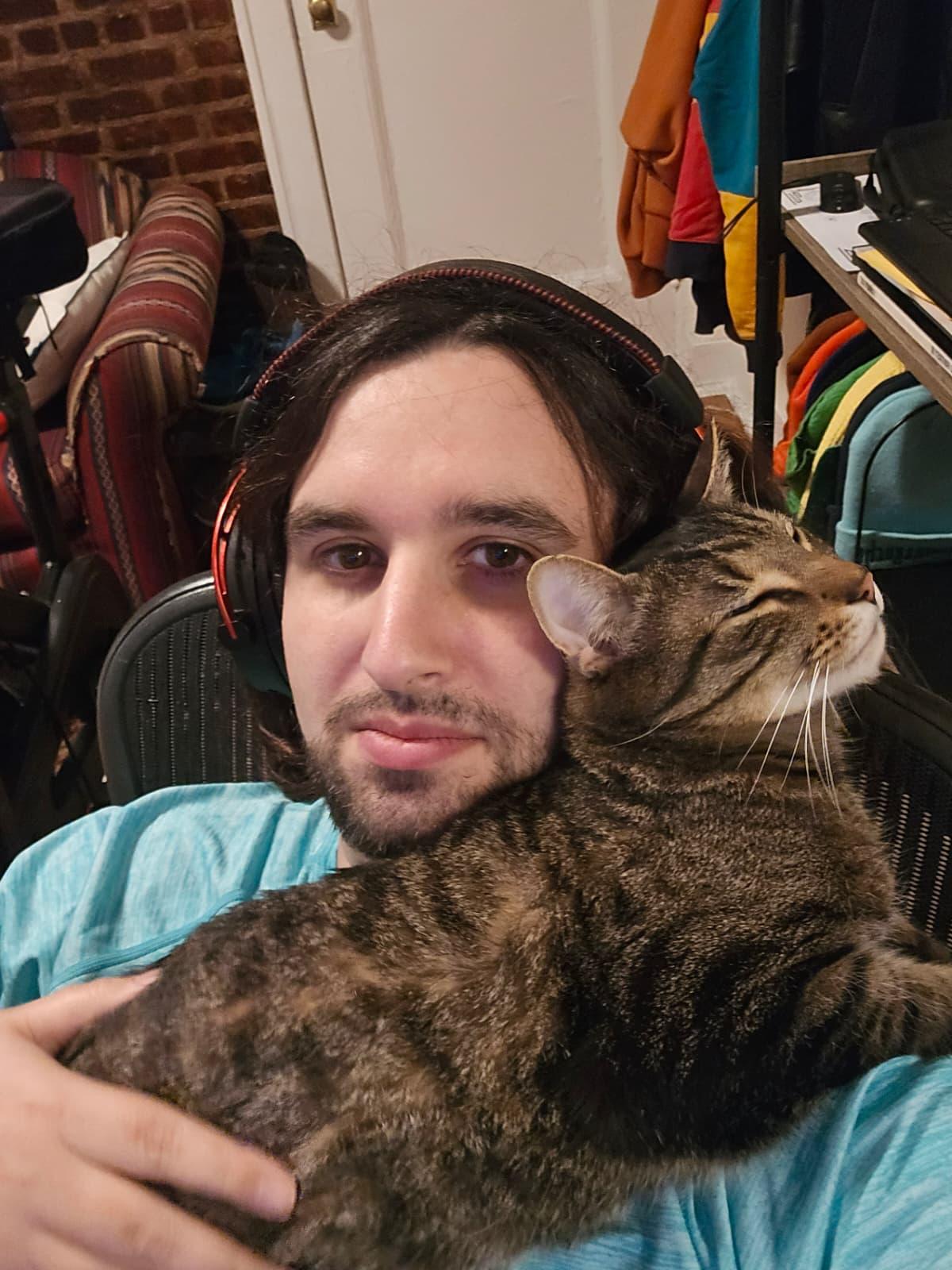 K-Pop, Adoptable, Adult Male Domestic Short Hair.