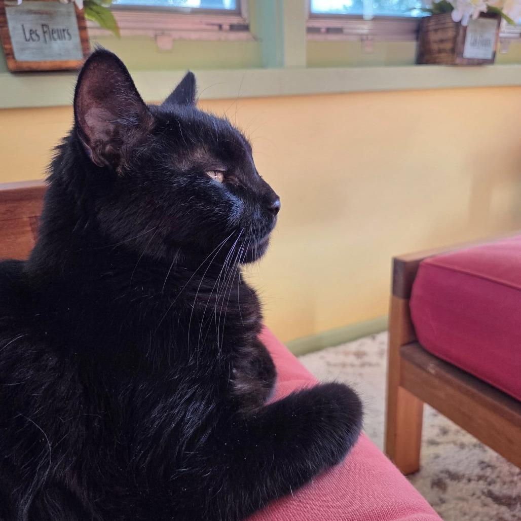 Mack--In Foster — thumbnail 3