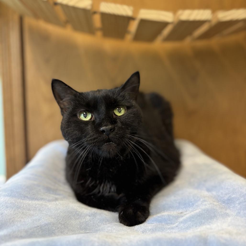 Mack--In Foster — thumbnail 4