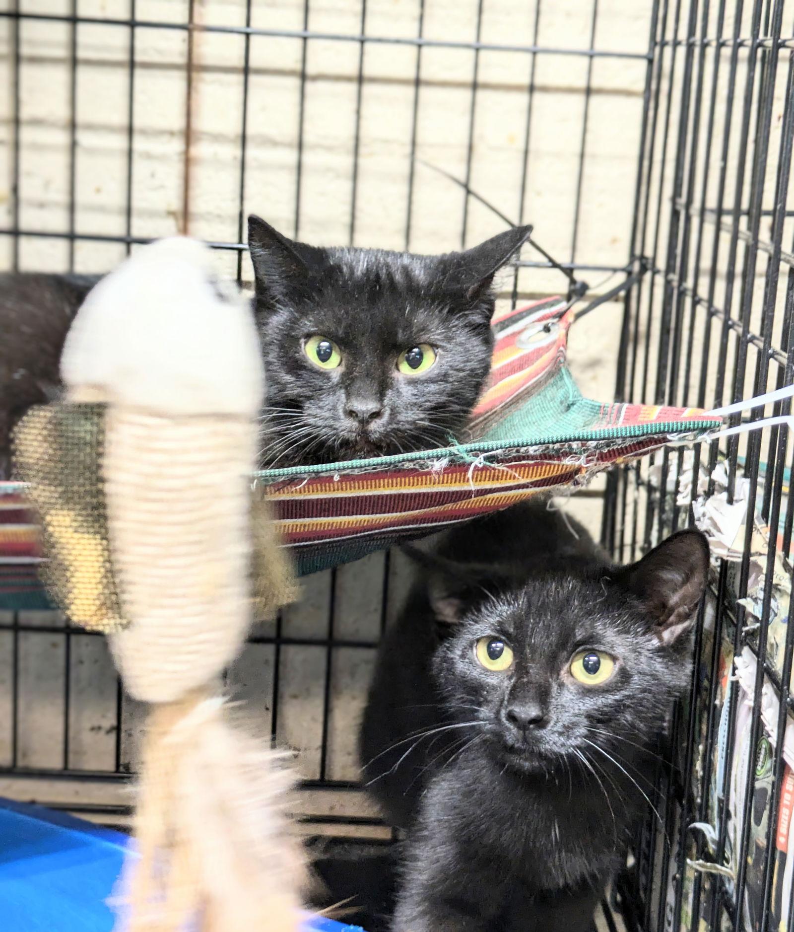 Margo — thumbnail 2