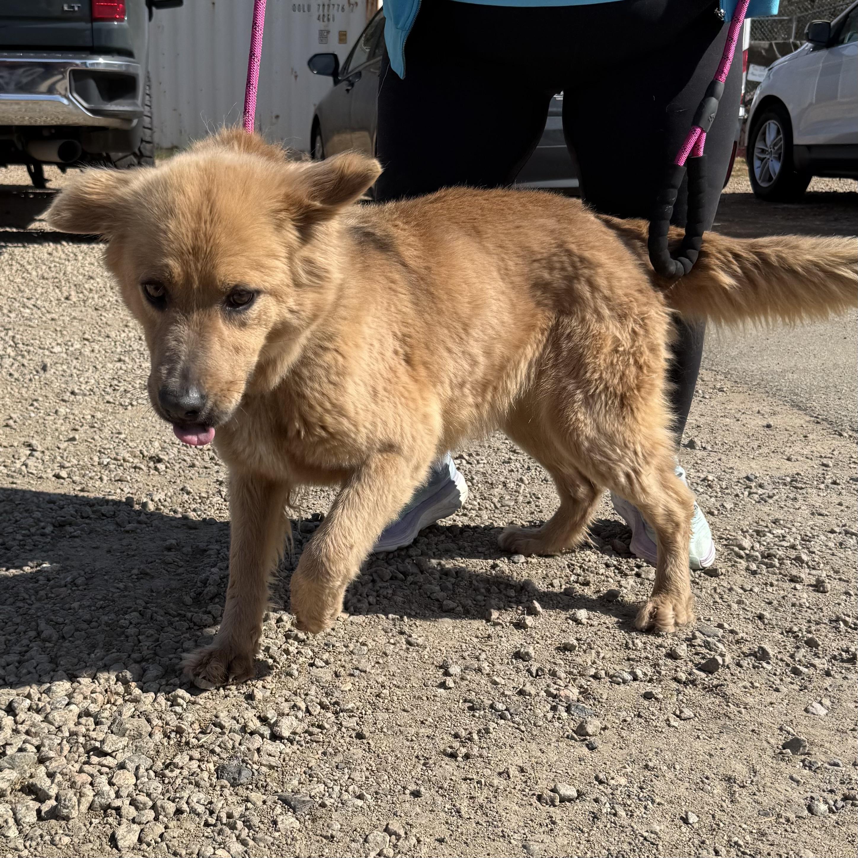 Salem — thumbnail 2