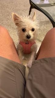 Zoey / Redington Beach