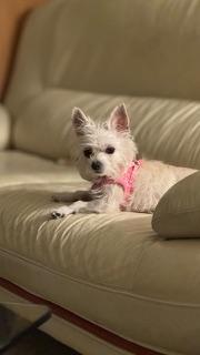 Zoey / Redington Beach