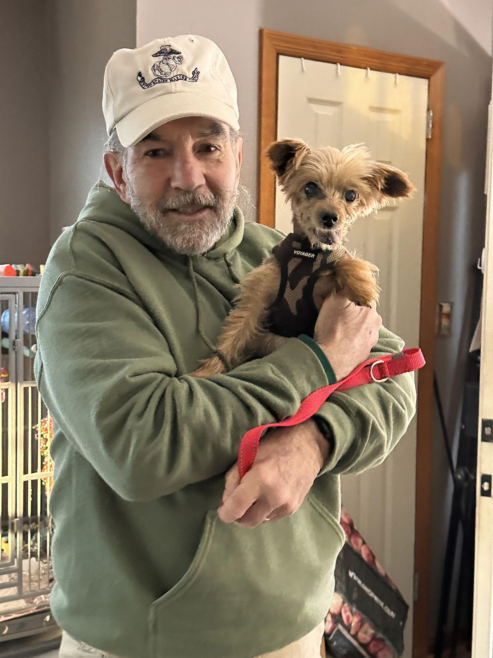 Enlarge Moose NJ, a Adopted Yorkshire Terrier in Boonton, NJ image 3/3