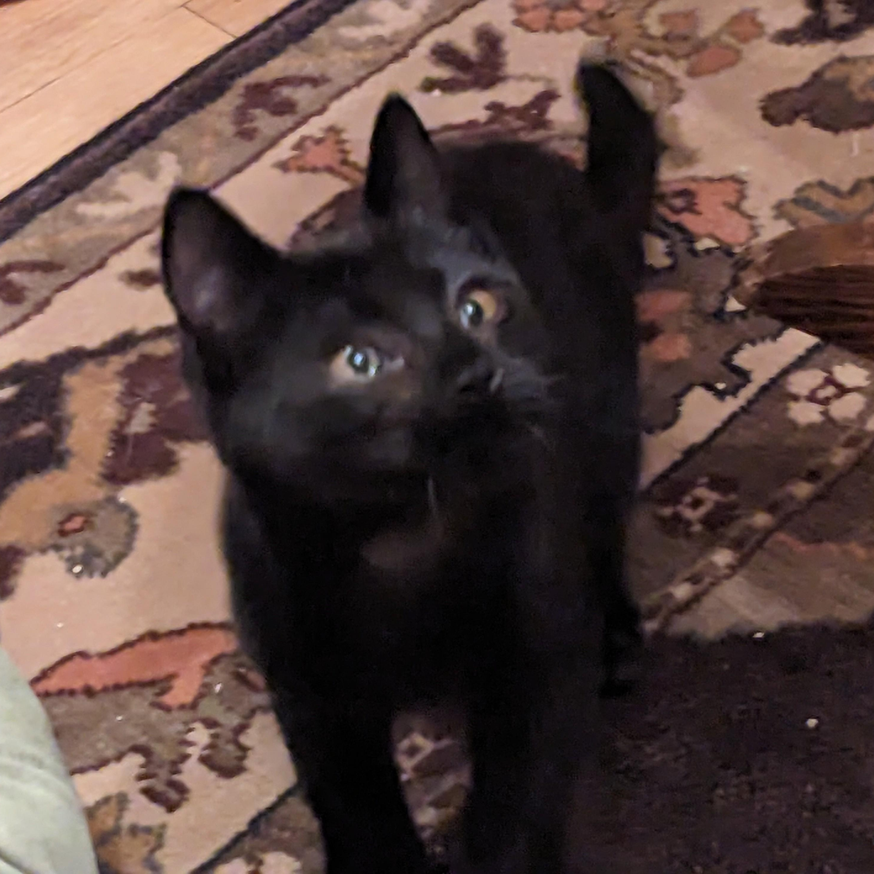 Smudge photo