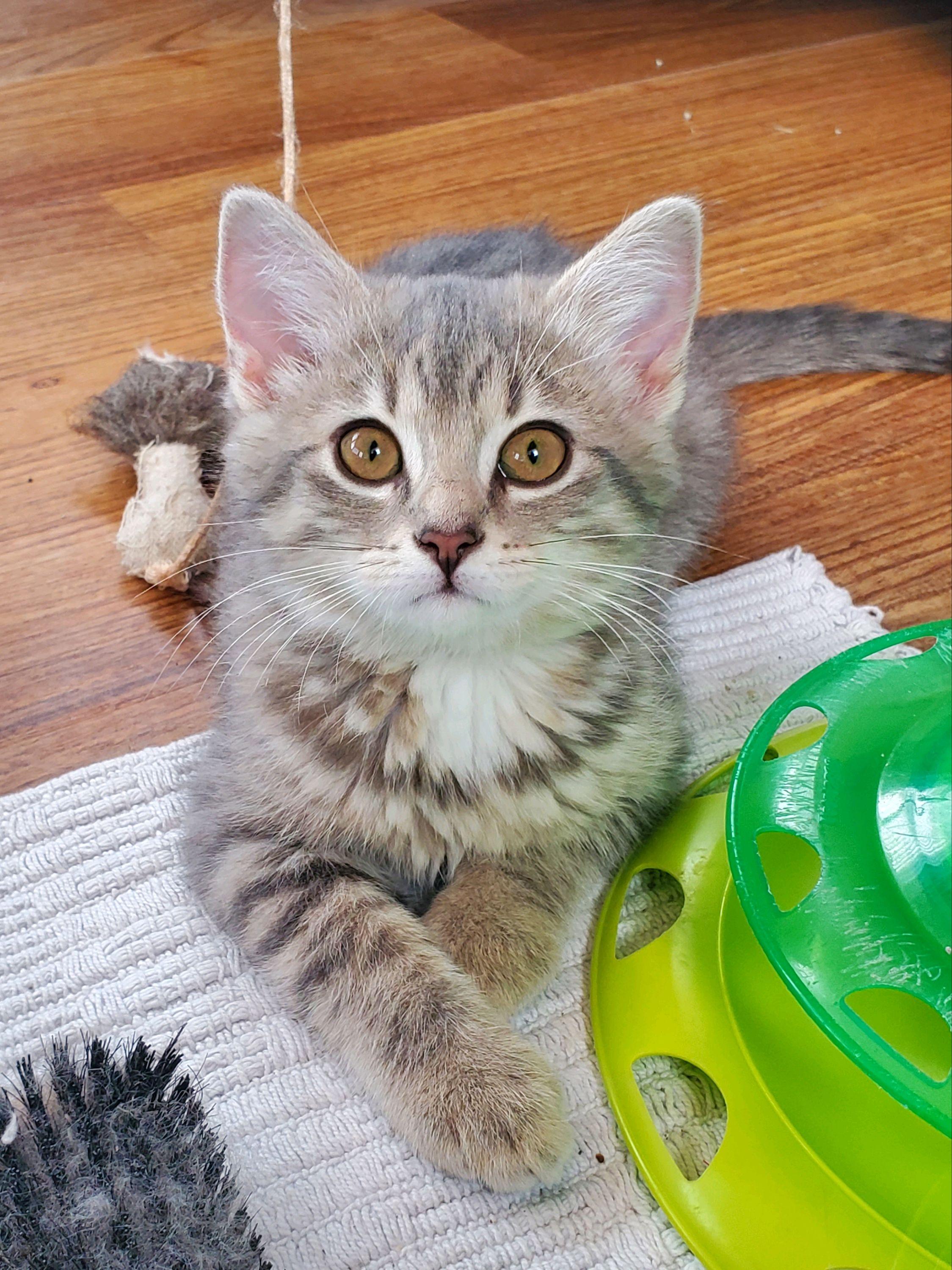 Winnie