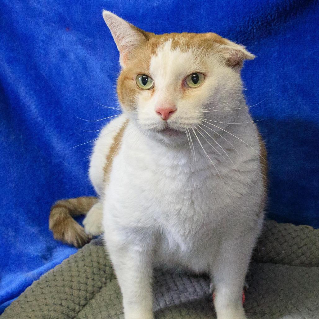 Appt. Pending - Orion — thumbnail 2