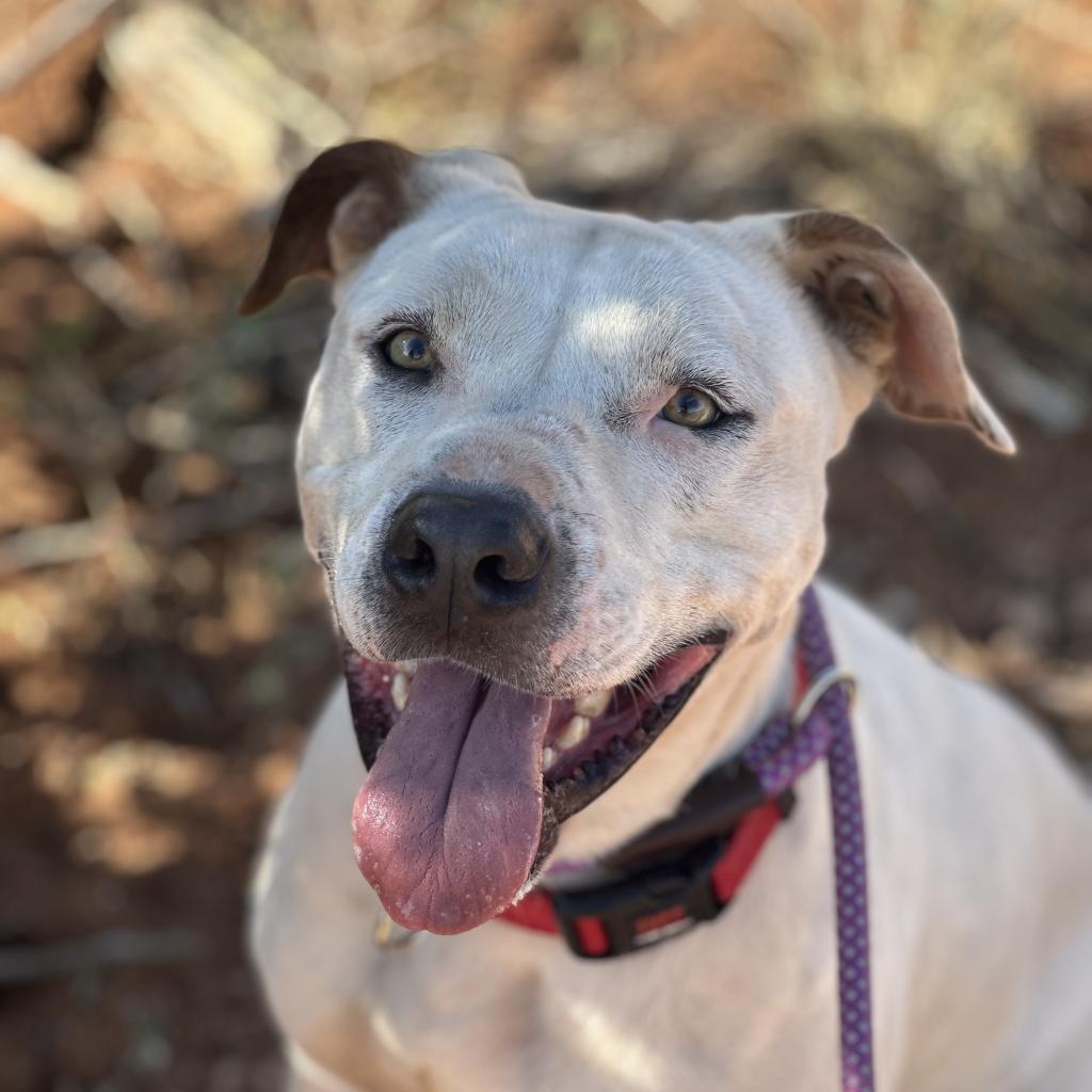 Mike — thumbnail 2