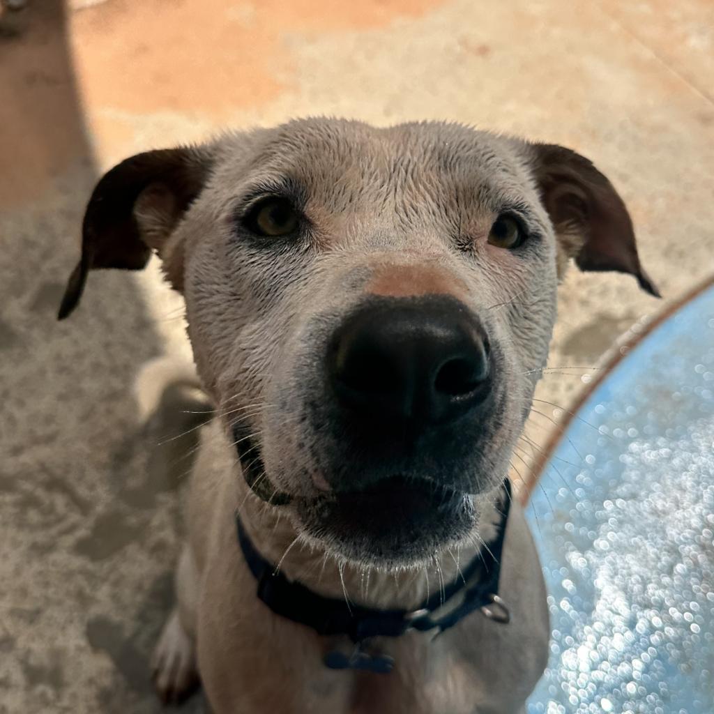 Mike — thumbnail 4