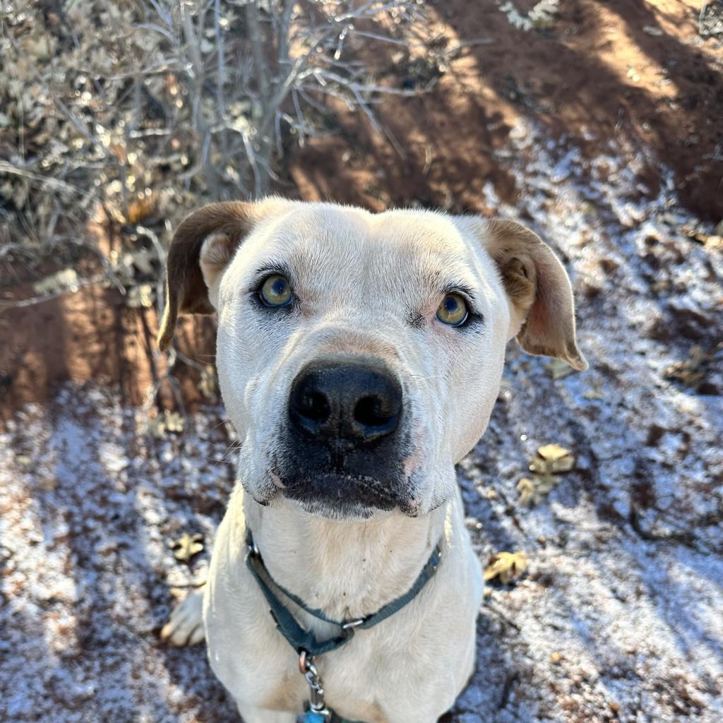 Mike — thumbnail 5