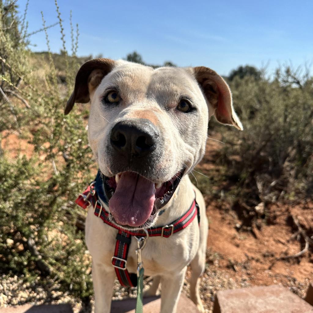 Mike — thumbnail 6