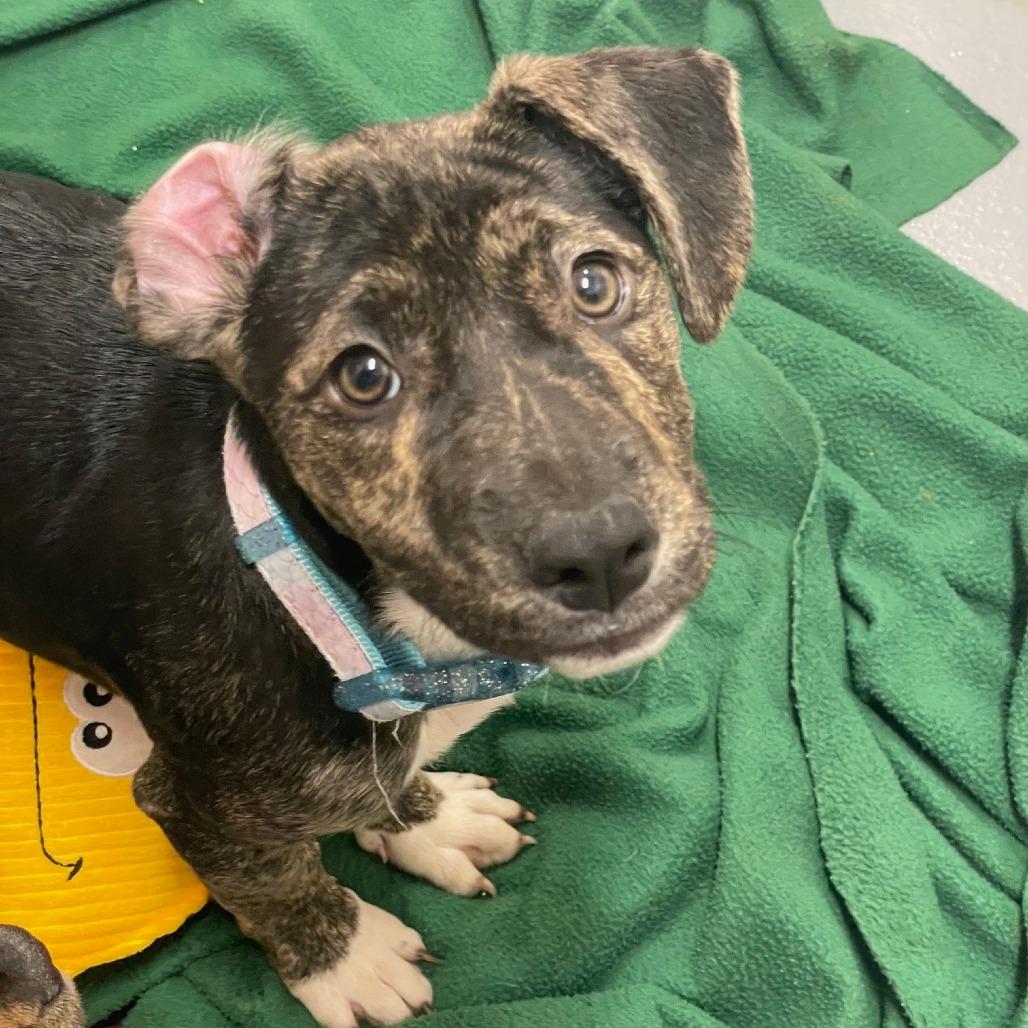 Cinnamon Square — thumbnail 2