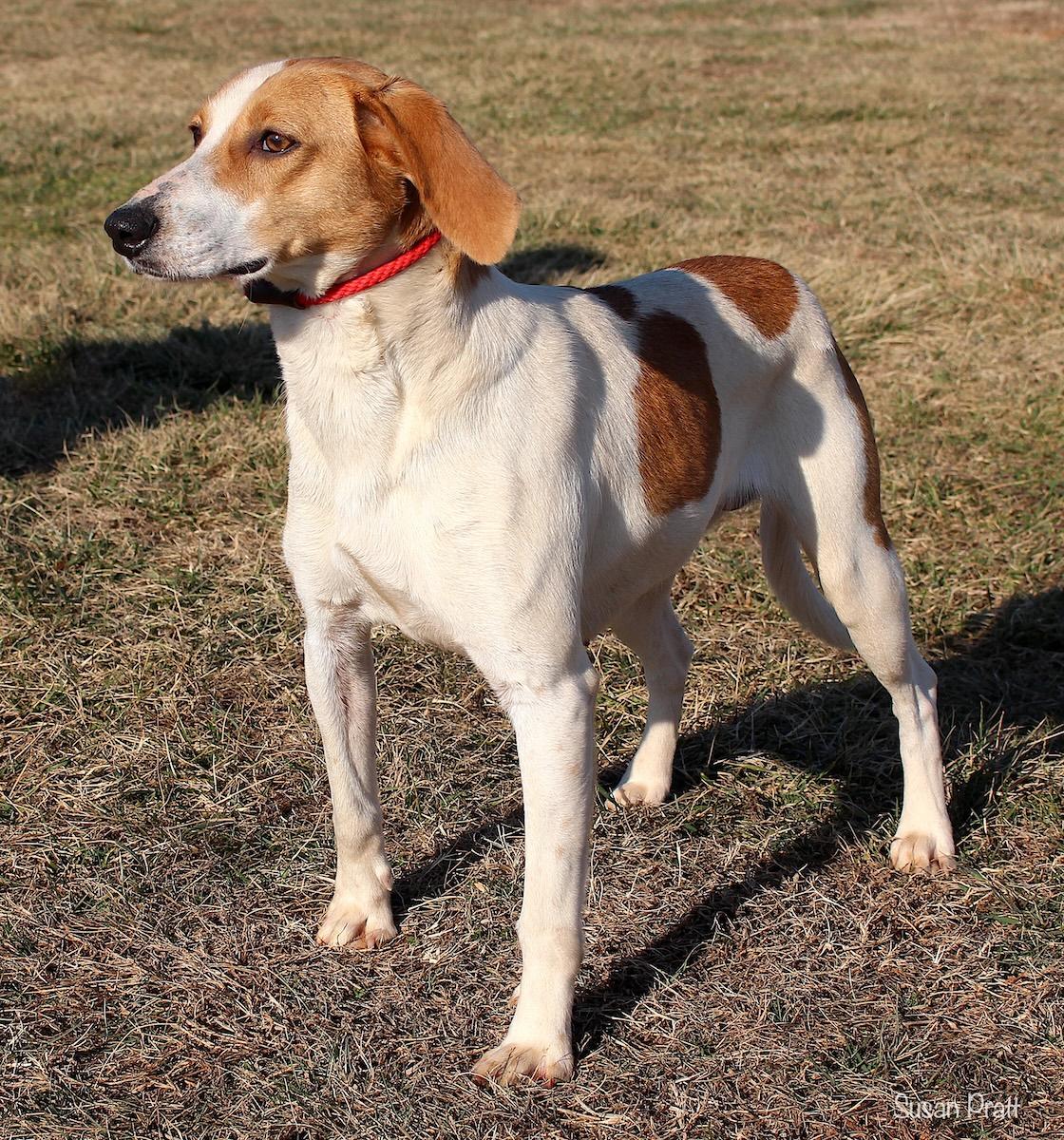 Jennifer thumbnail 2