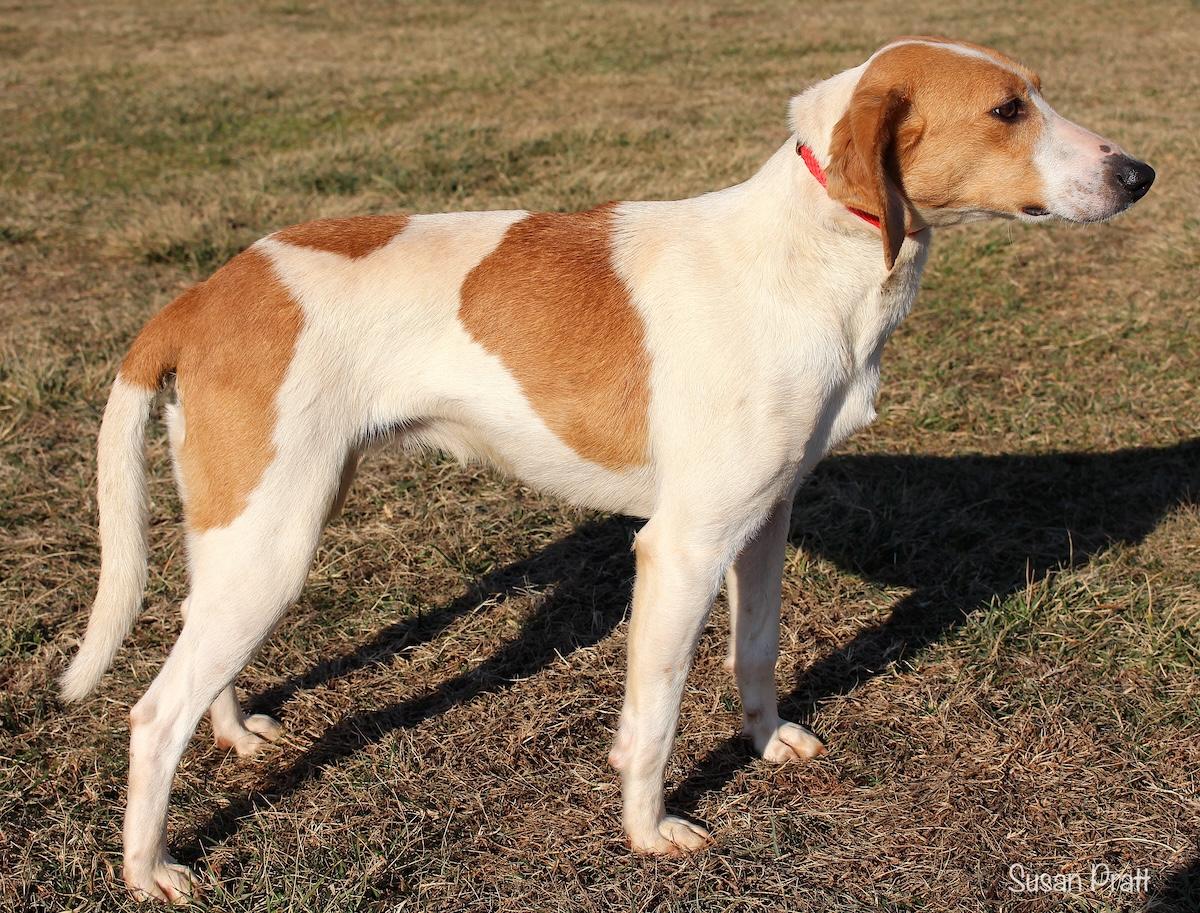 Jennifer thumbnail 3