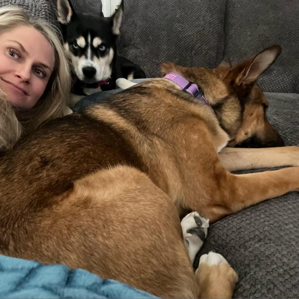 Enlarge Piper, a Adoptable mixed breed in Las Vegas, NV image 3/6