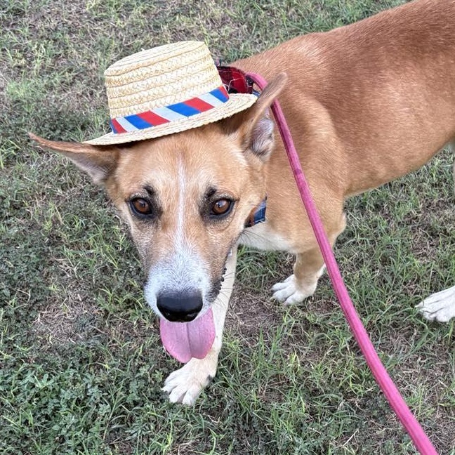 Flako — thumbnail 5