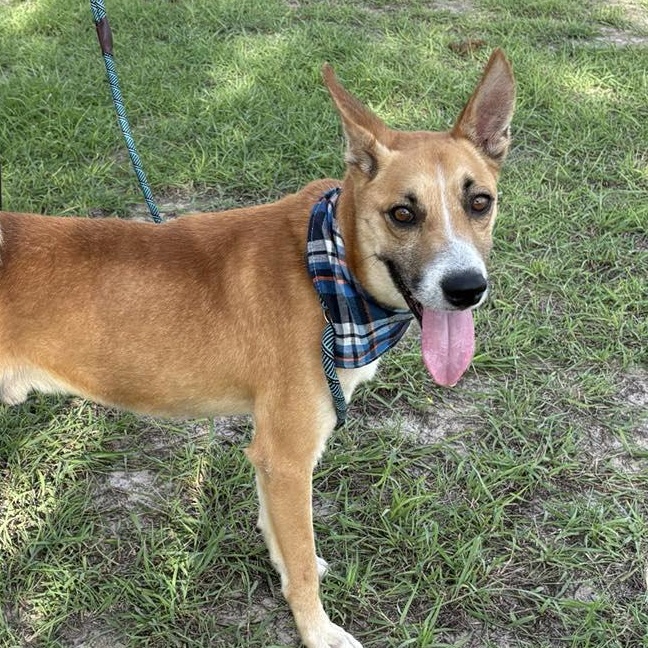 Flako — thumbnail 6