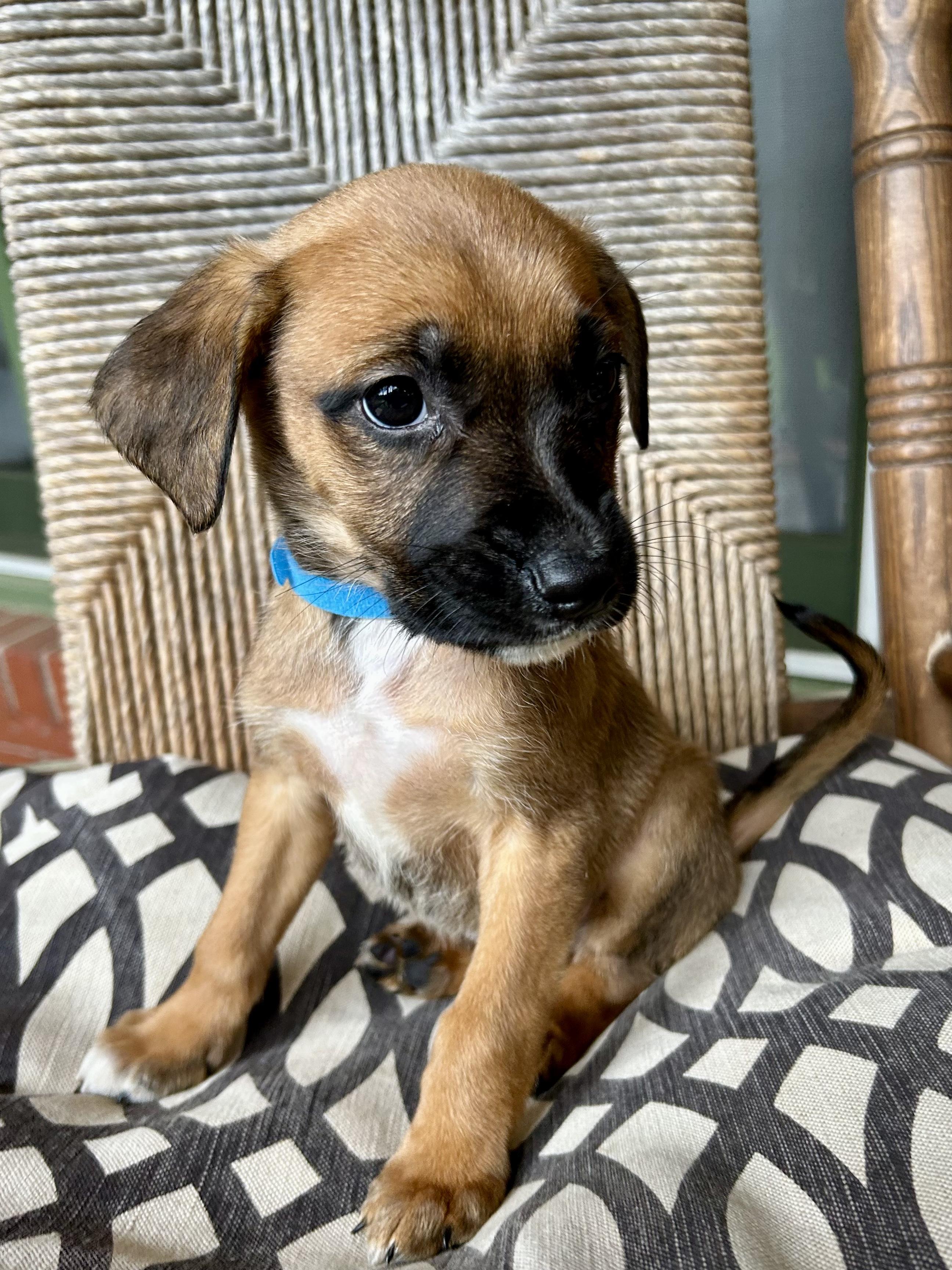 Finnigan thumbnail 3