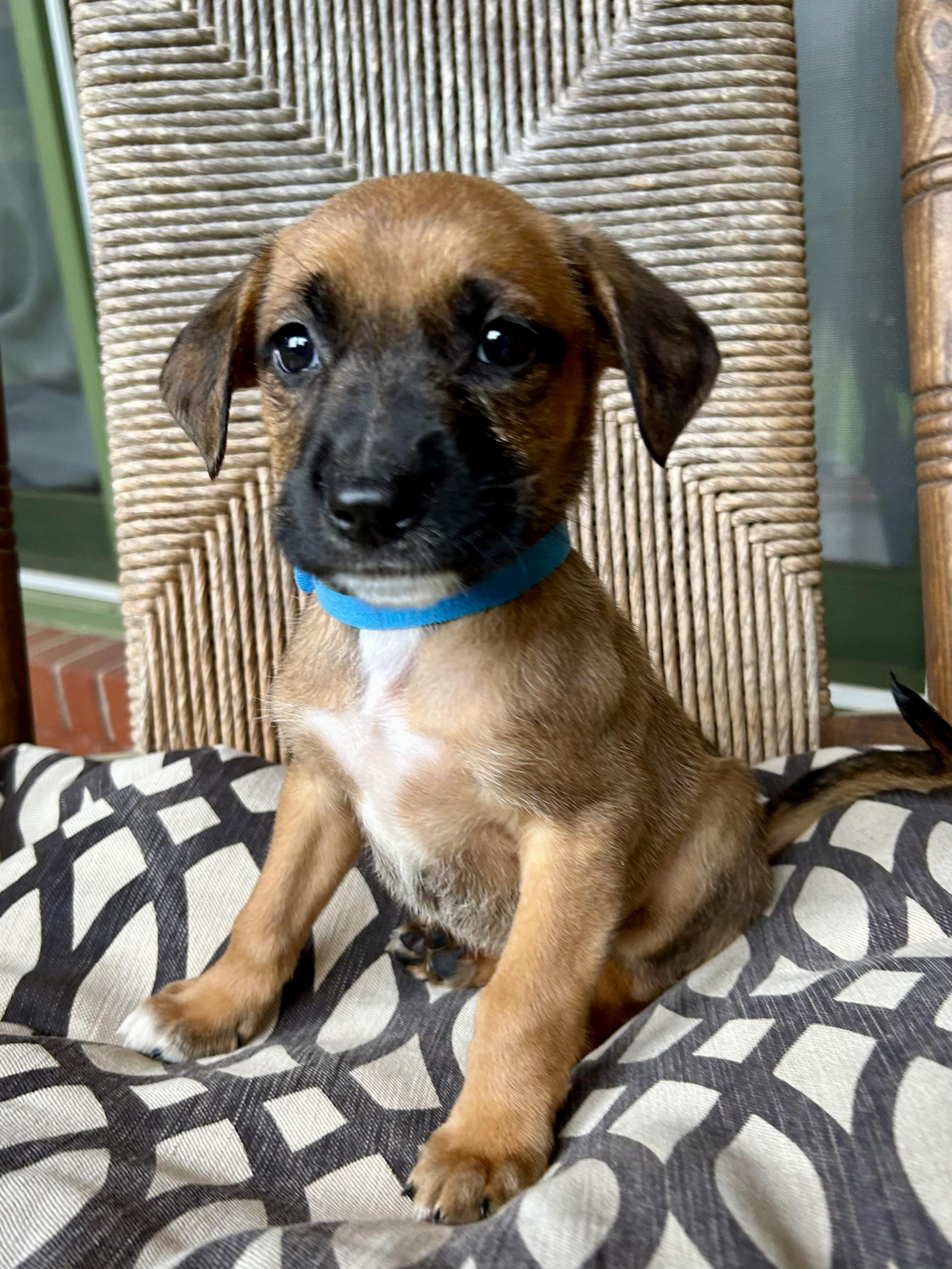 Finnigan thumbnail 4