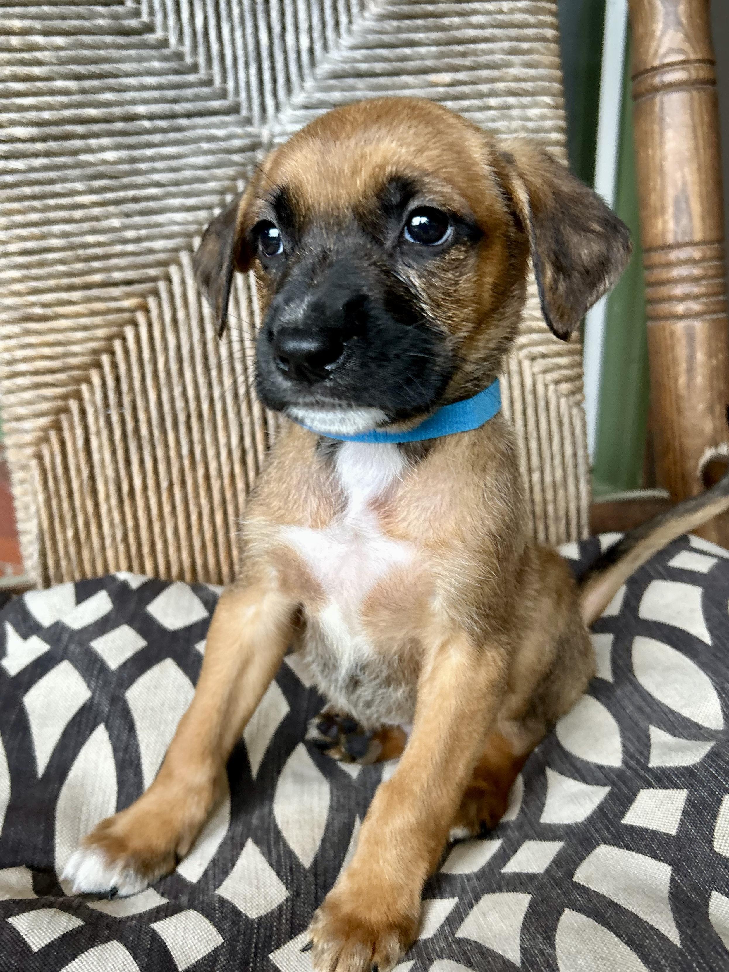 Finnigan thumbnail 2