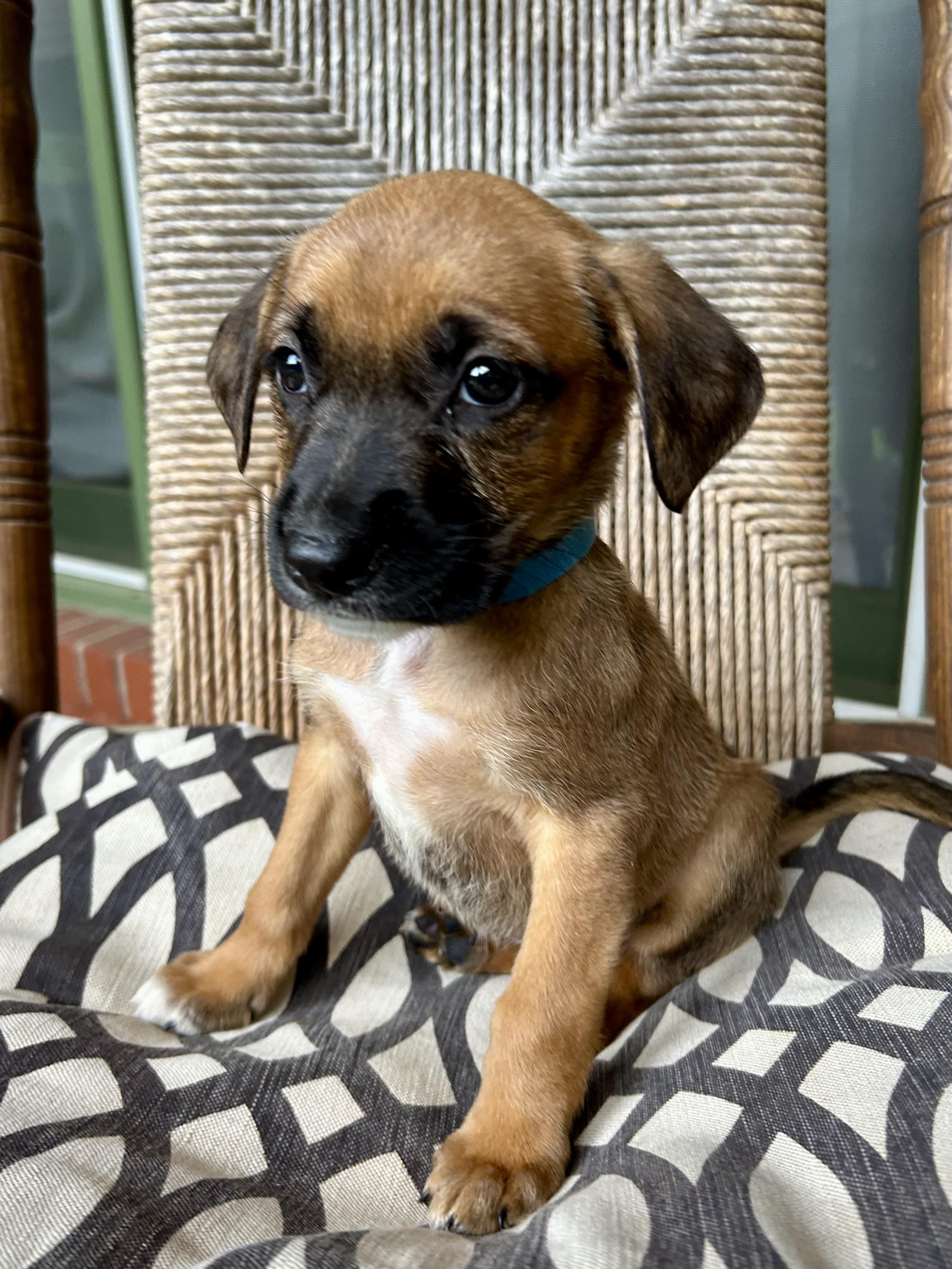 Finnigan thumbnail 6