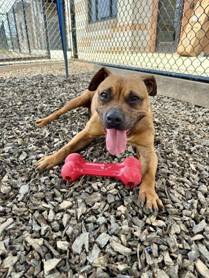 ZLATA — thumbnail 2