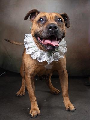 ZLATA — thumbnail 3