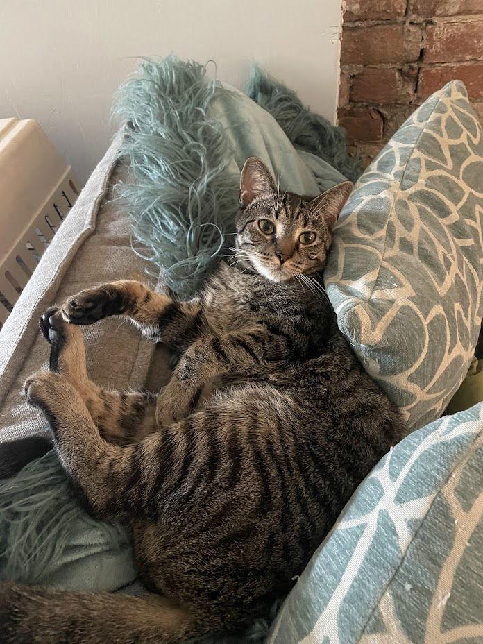 Mascarpone thumbnail 3