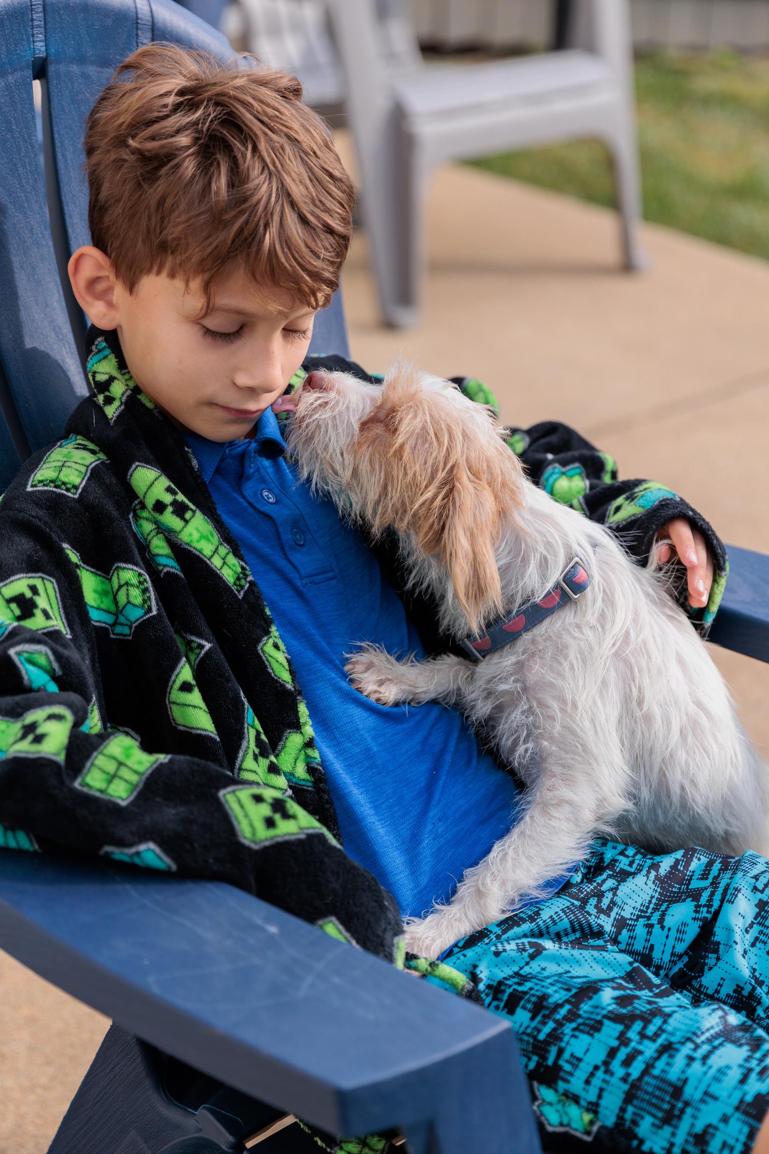 Nova, a ADOPTABLE mixed breed in Washington, DC image 3/5