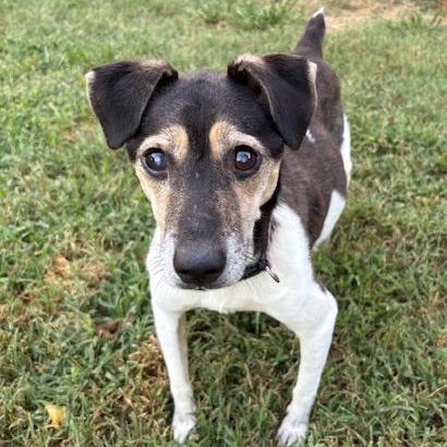 Stevie Wonder thumbnail 3