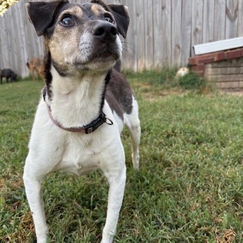 Stevie Wonder thumbnail 4