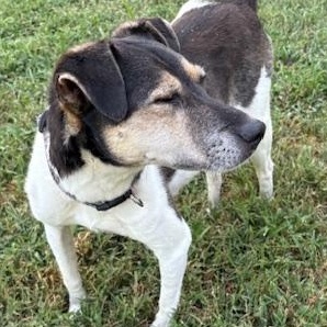 Stevie Wonder thumbnail 5