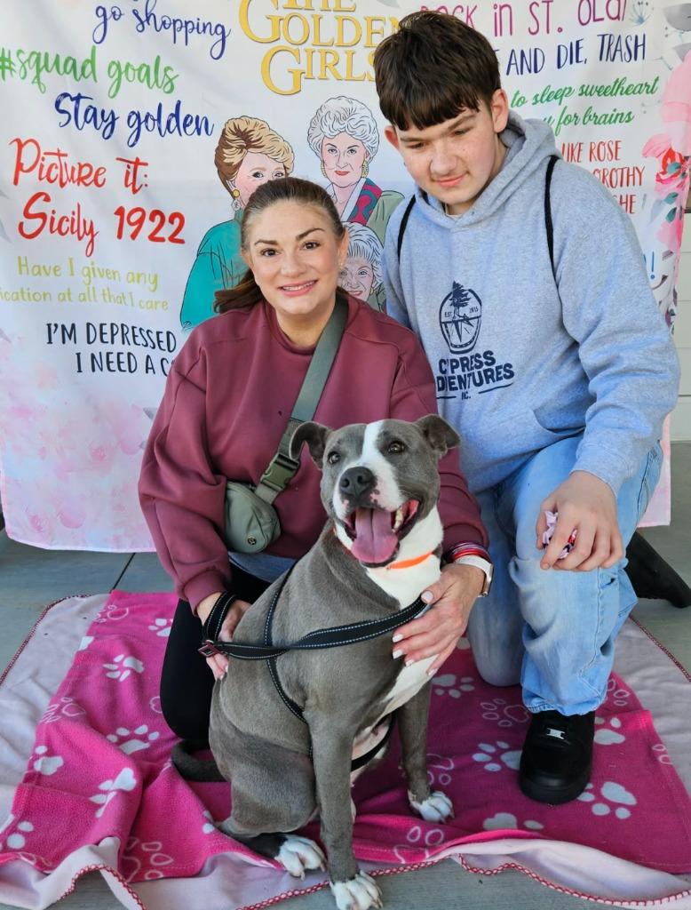 Winifred, a Adoptable mixed breed in Hartsville, SC image 4/6