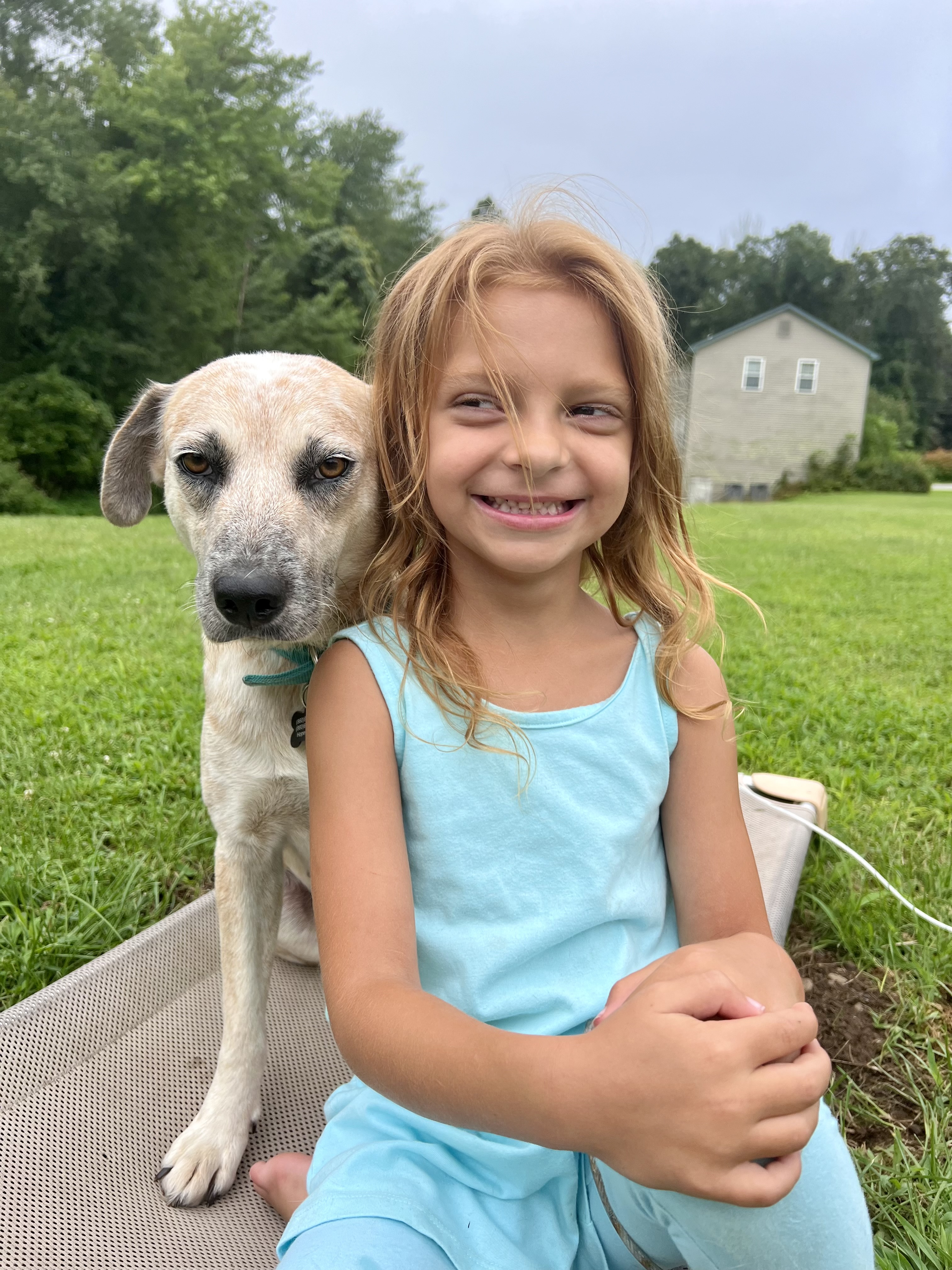 Enlarge Misty the Ghost, an adoptable mixed breed in Griswold, CT image 2/5