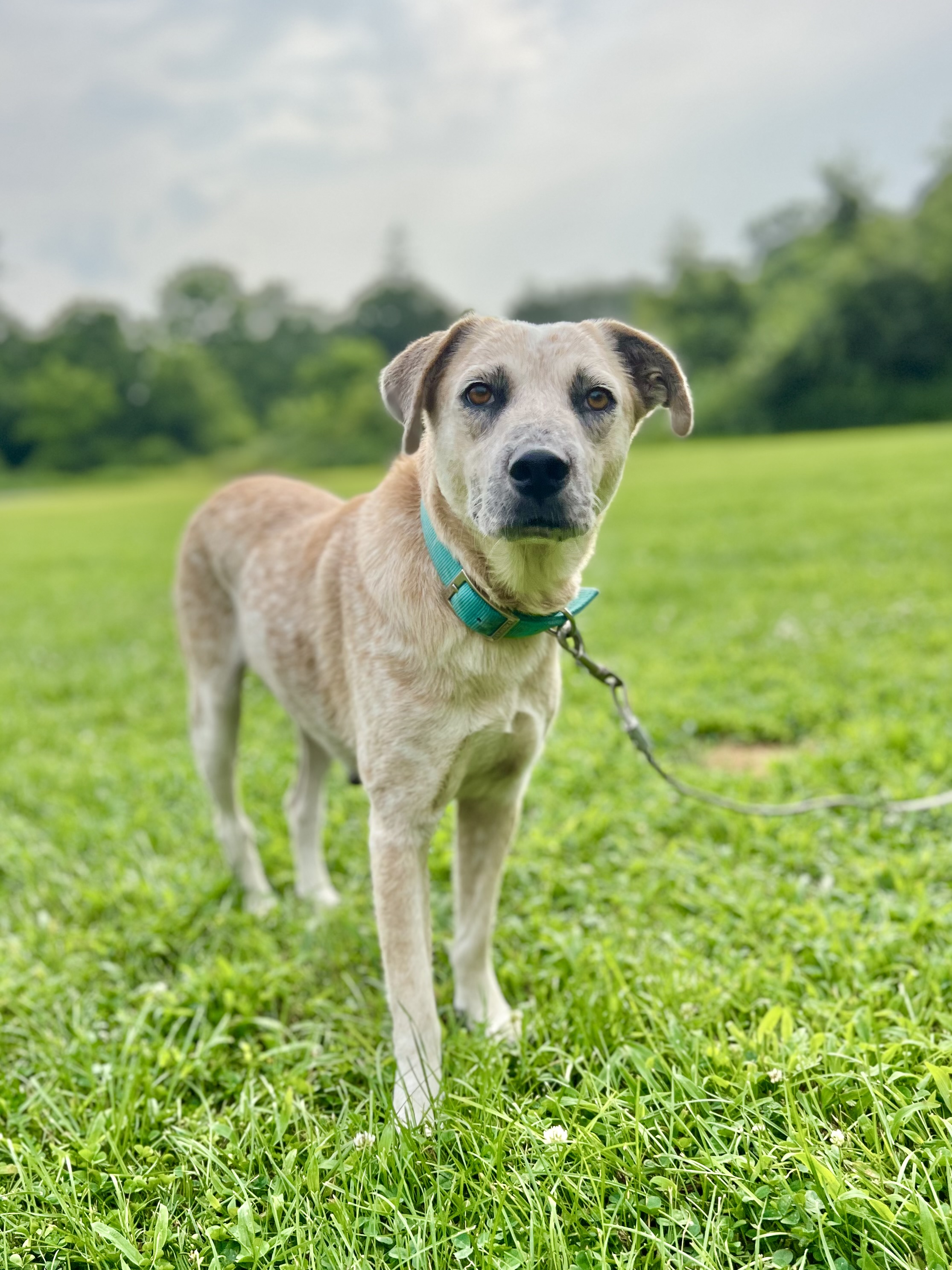 Misty The Ghost thumbnail 5