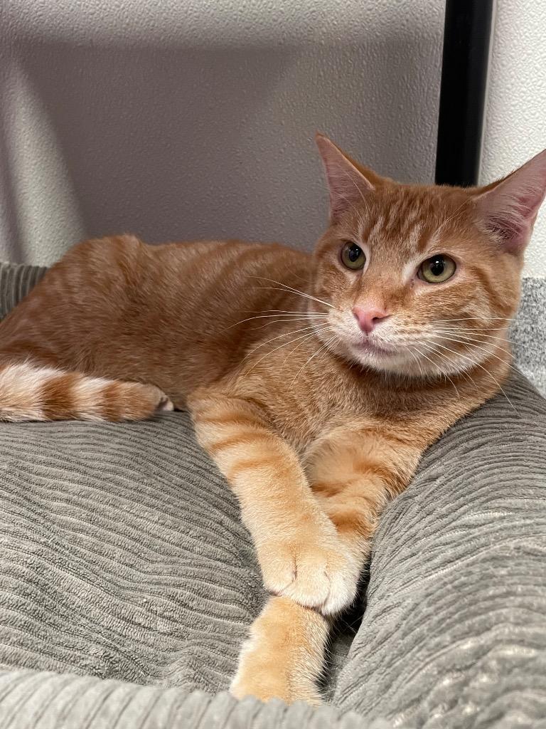 Erik & Lyle thumbnail 3