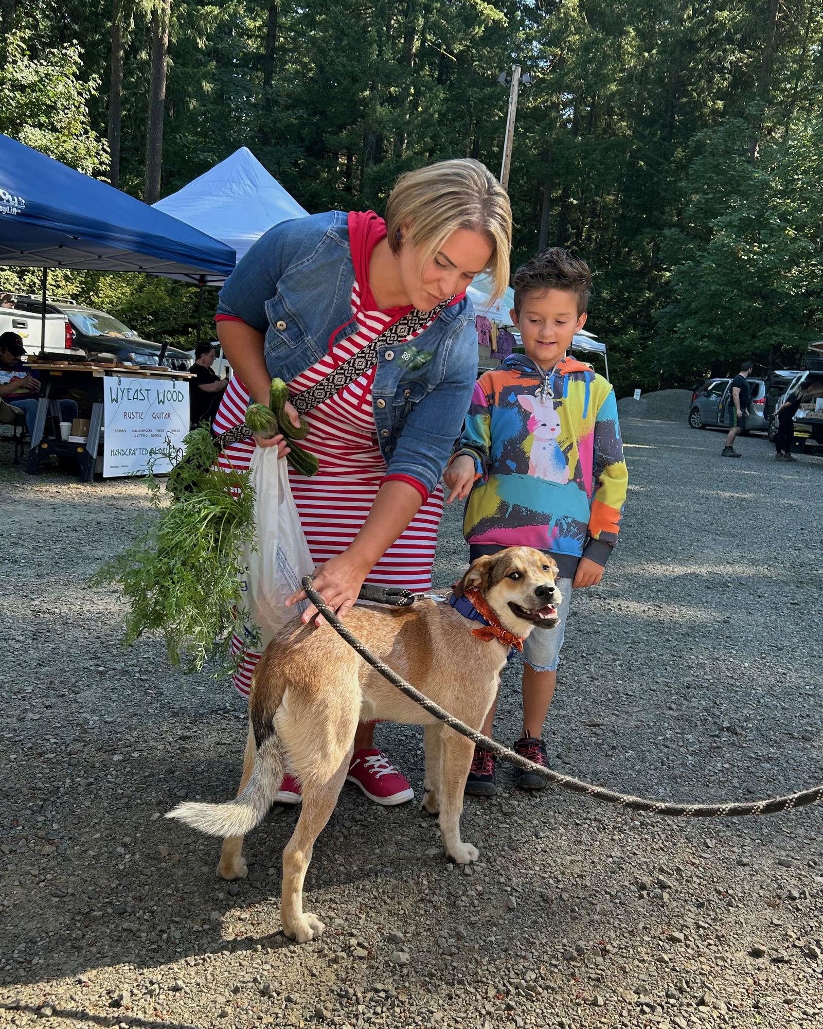 Enlarge Newt, a Adopted Cattle Dog in Portland, OR image 3/3