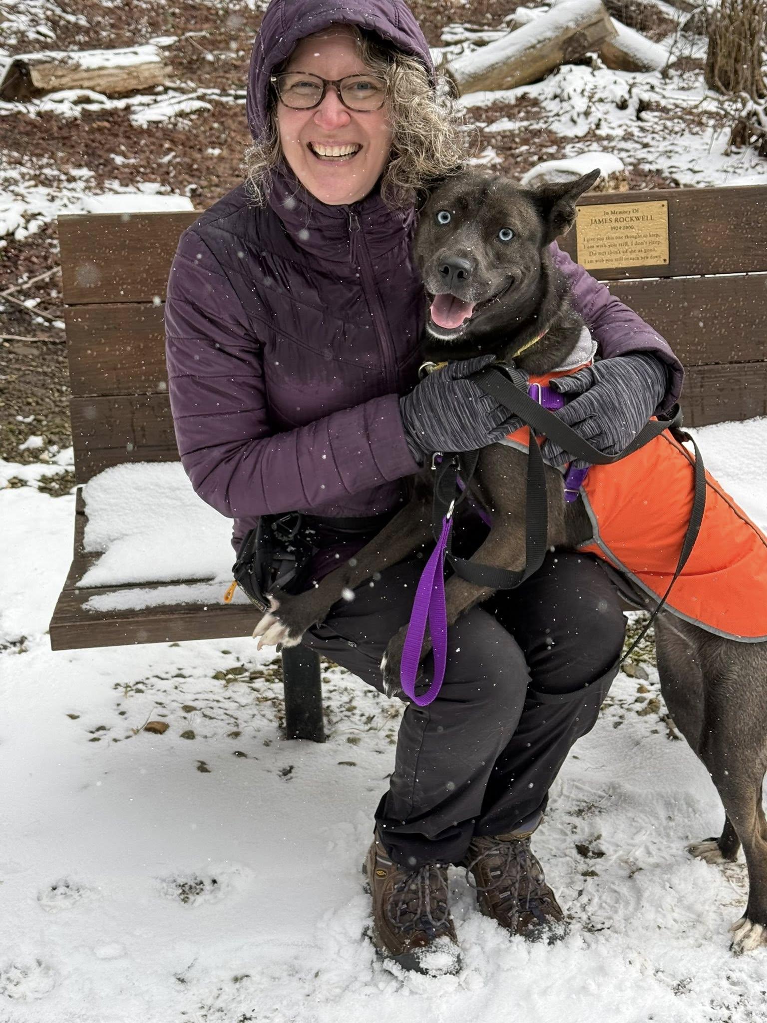 Enlarge Brookie, an adopted mixed breed in Cleveland, OH image 6/6