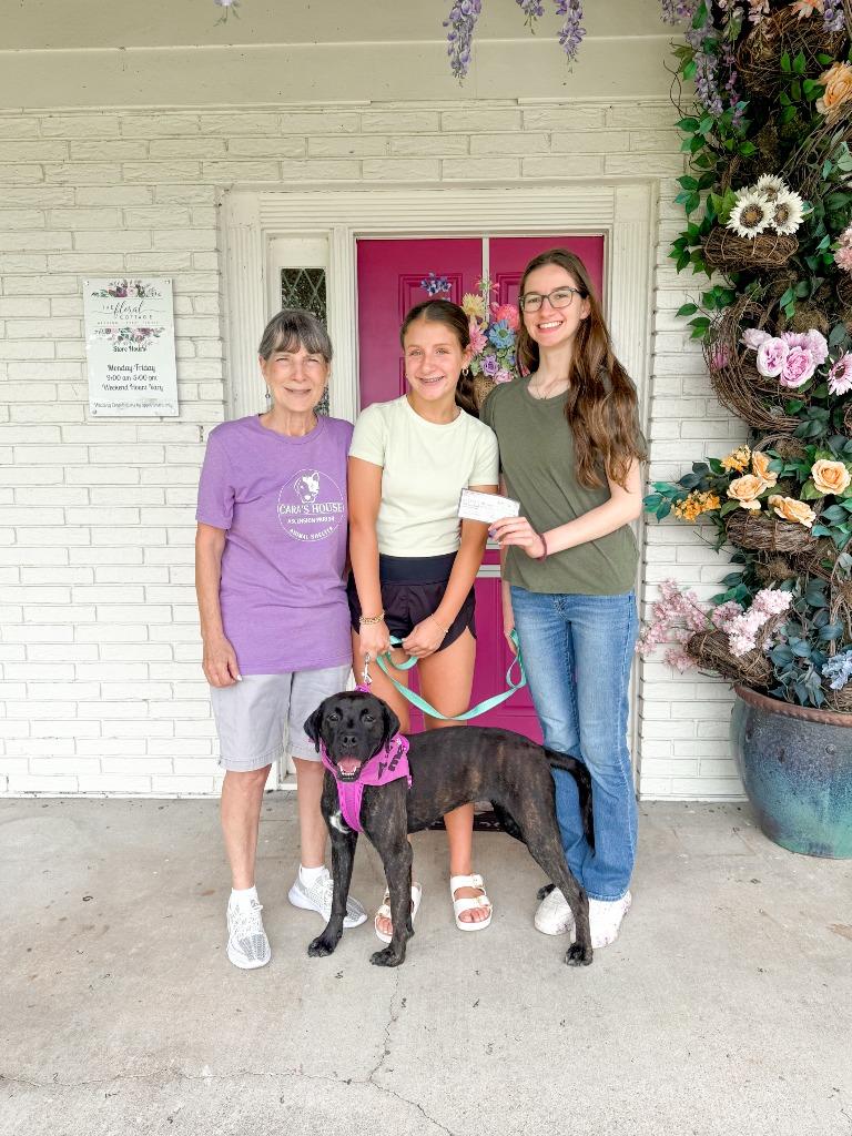 Enlarge Devaux, a Adoptable mixed breed in Sorrento, LA image 4/6